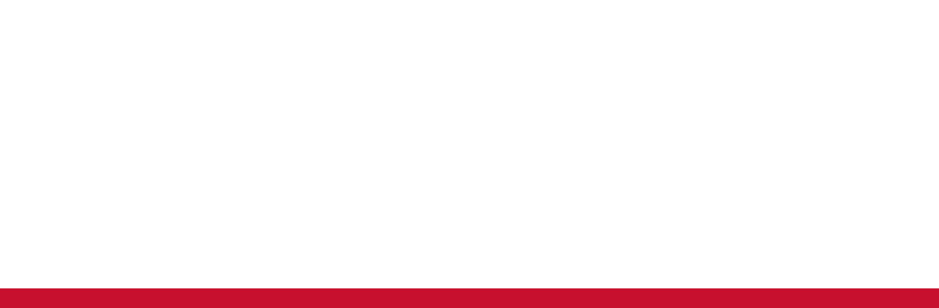 SHISEIDO